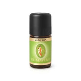 Zeder bio – Ätherisches Öl 5 ml | PRIMAVERA