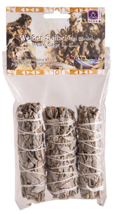 3er Pack weißer Salbei mini – Seelenecho