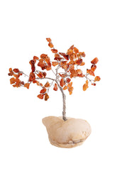 Kristallbaum Karneol mit Zeolith – Seelenecho
