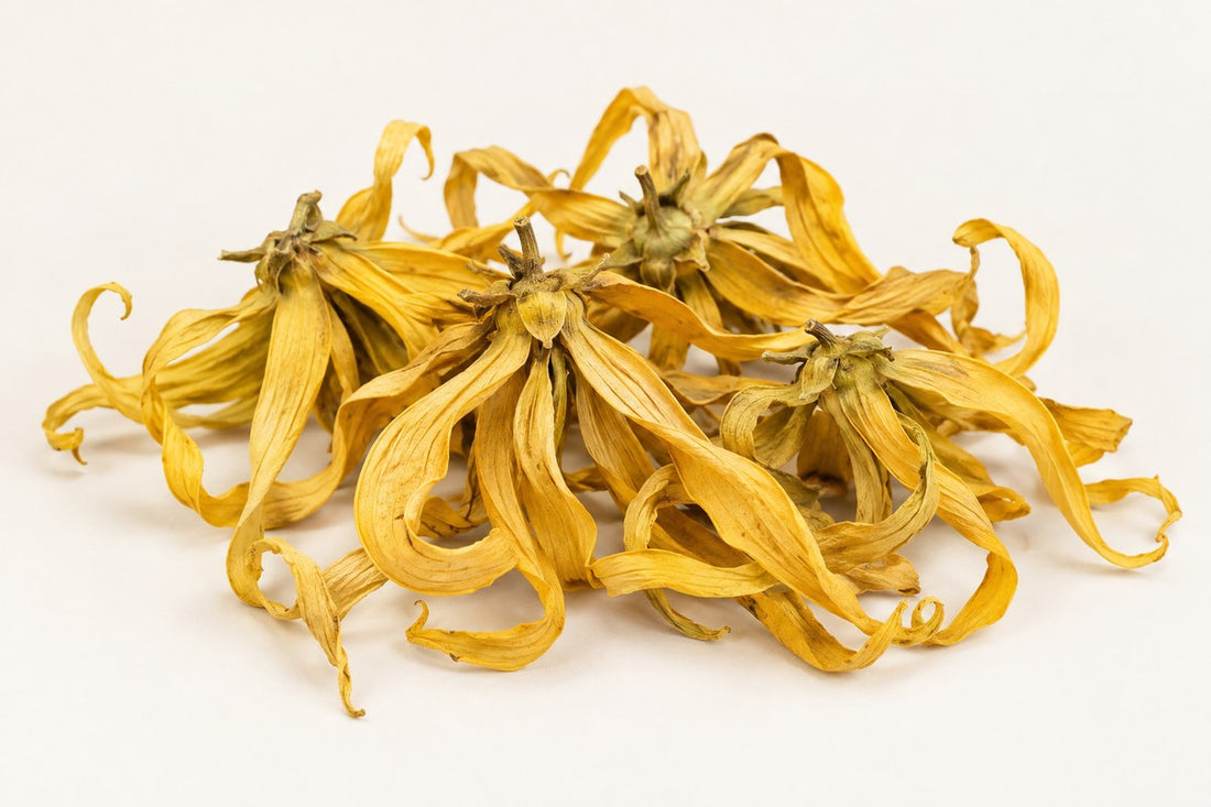 Ylang-Ylang