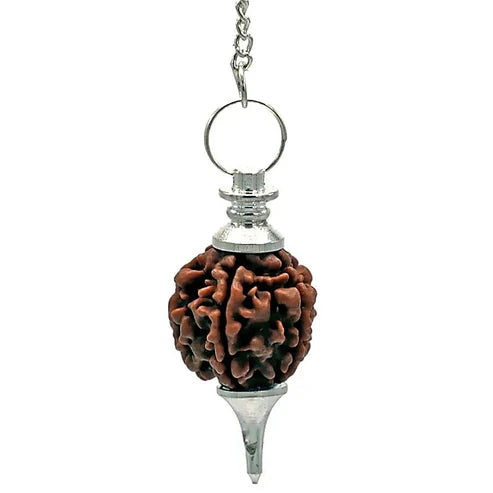 Rudraksha Pendel silberfarben – Pendel mit echtem 5 Mukhi Rudraksha-Samen