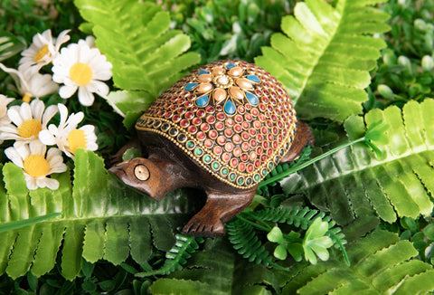 Zauberschildkröte, klein Eukalyptusholz mit Steinen – Ansicht 2