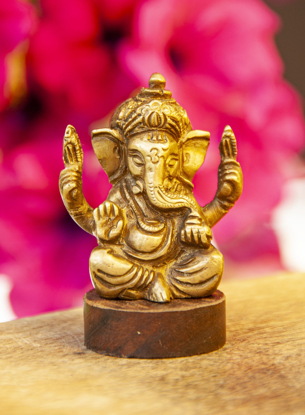 Ganesha – Seelenecho