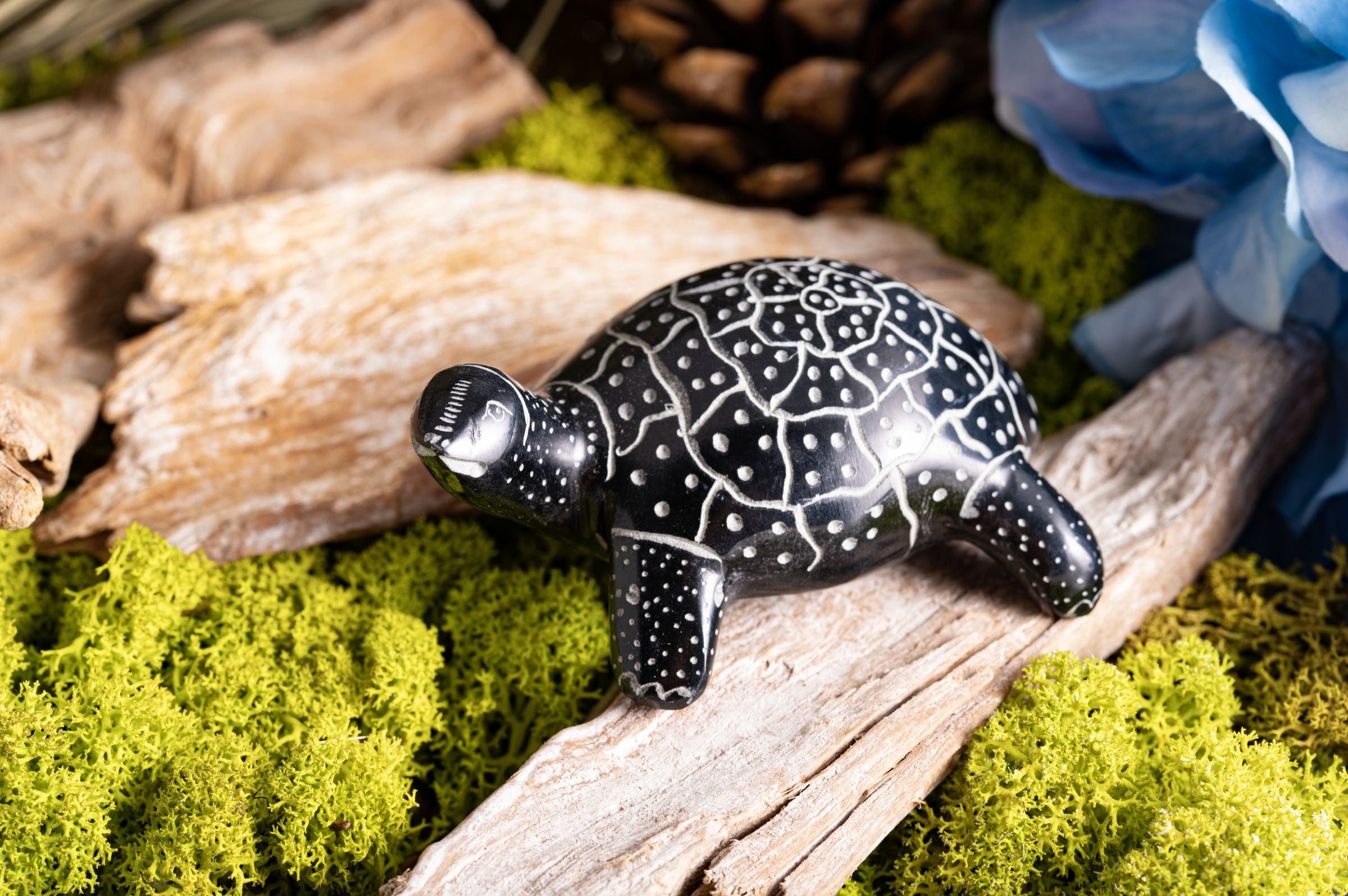 Schildkröte Speckstein – Ansicht 2