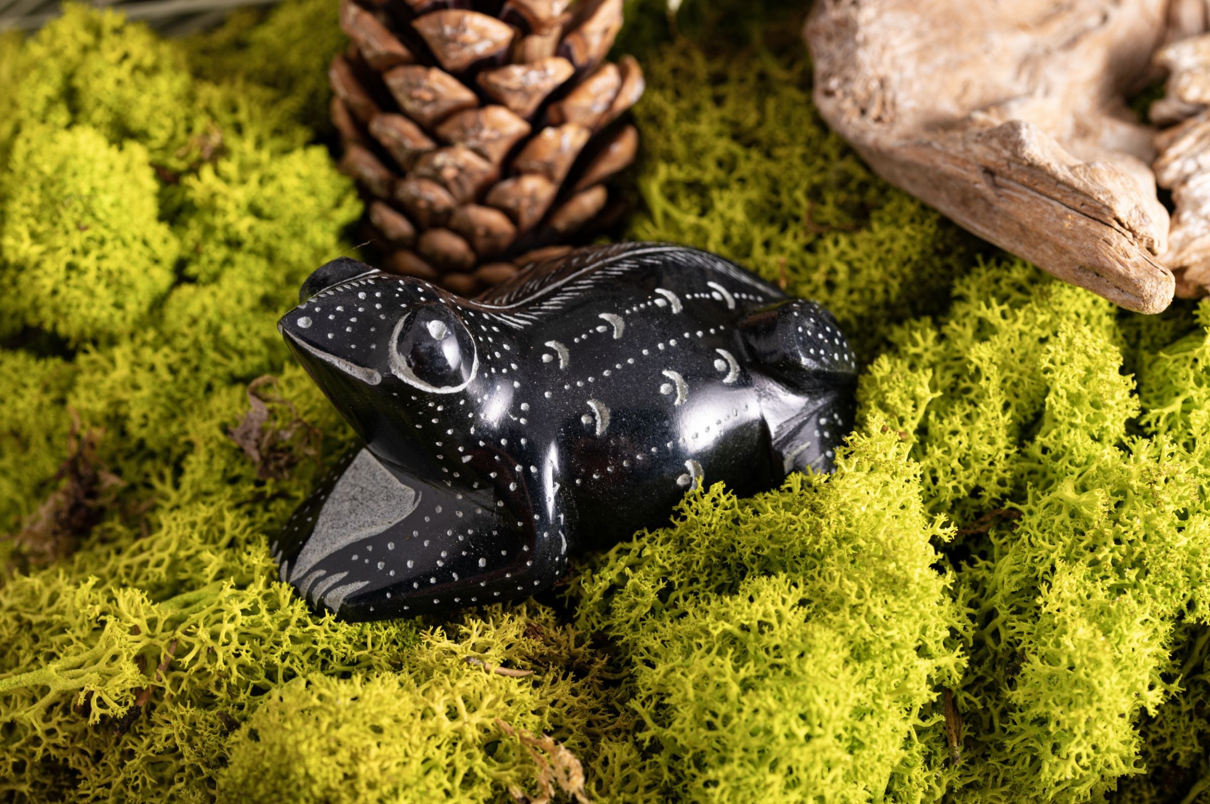 Frosch Speckstein – Ansicht 2