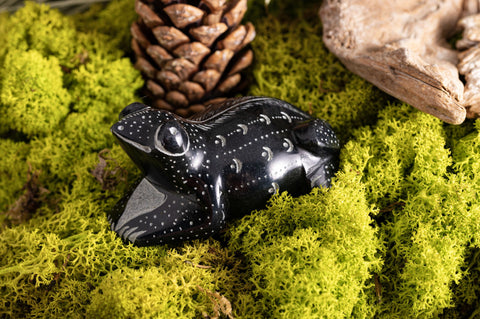 Frosch Speckstein – Ansicht 2