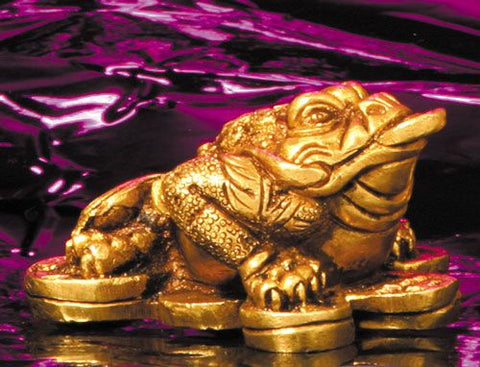 Dreibeiniger Geldfrosch 6,5cm x 5,5cm - Messing – Seelenecho