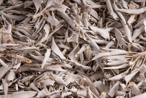 Weißer Salbei, 500 g lose – Seelenecho