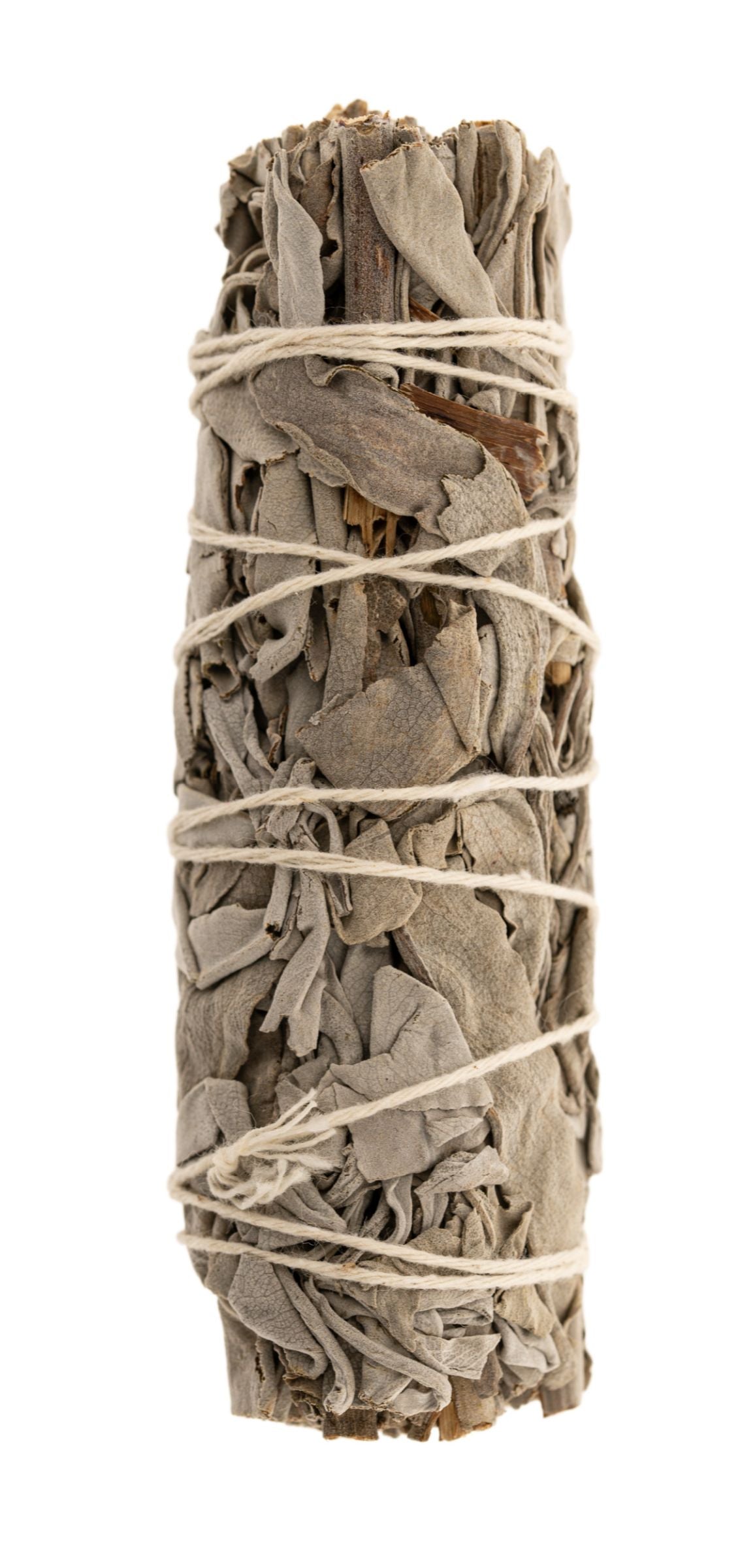 Weißer Salbei mini Smudge einzeln L: 10 cm – Seelenecho