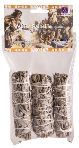 3er Pack weißer Salbei mini – Seelenecho