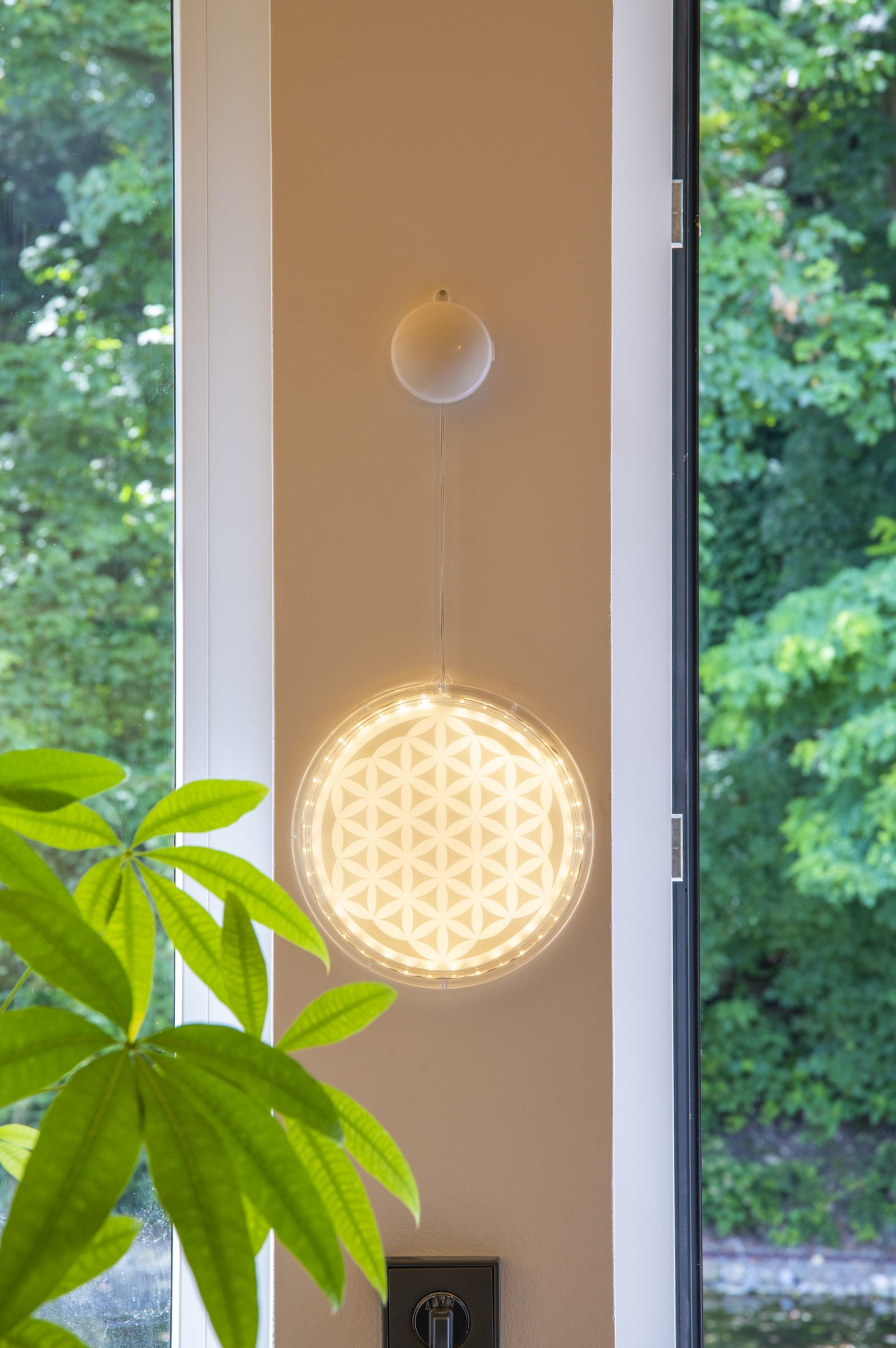 LED Licht Blume des Lebens – Ansicht 2