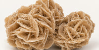 Sandrose