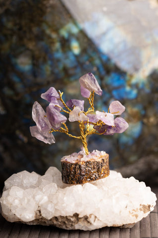 Kristallbäumchen Amethyst auf Holzbasis – Ansicht 2