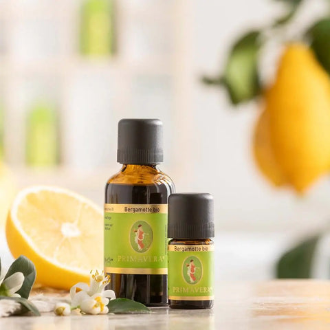 Bergamotte Bio (Citrus bergamia) – Lichtvolle Frische für Herz und Stimmung