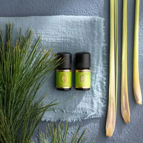 Lemongrass Bio (Cymbopogon flexuosus) – Klare Frische für Fokus und neue Energie