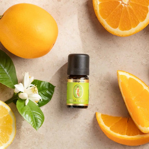 Orange Bio (Citrus sinensis) – Sonnige Leichtigkeit für Herz und Lebensfreude
