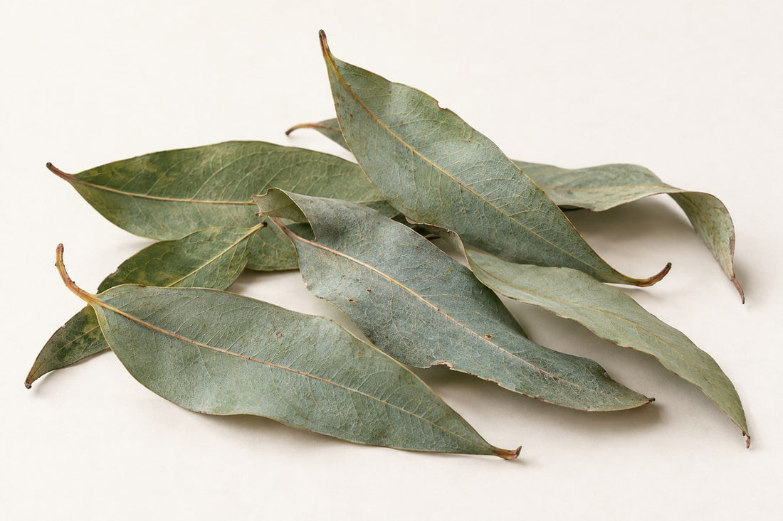 Eukalyptus