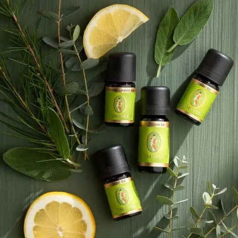 Zitrone Bio (Citrus limon) – Klare Frische für Konzentration und neue Leichtigkeit