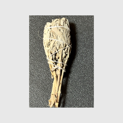 Weißer Salbei Smudge Fackel
