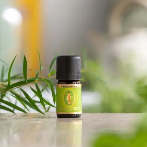Teebaumöl Bio (Melaleuca alternifolia) – Klärende Kraft für Haut und Energie