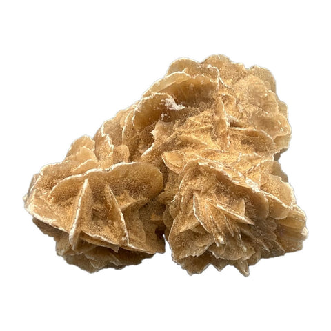 Wüstenrose (Selenit) Naturstufe 302 g, Unikat