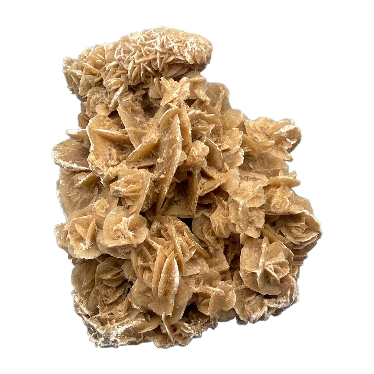 Wüstenrose (Selenit) Naturstufe 584 g, Unikat