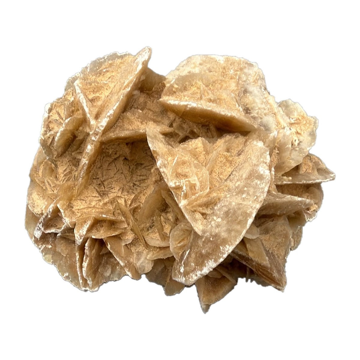 Wüstenrose (Selenit) Naturstufe 799 g, Unikat