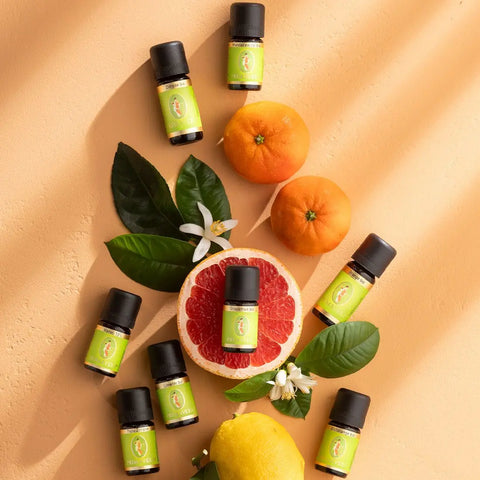 Orange Bio (Citrus sinensis) – Sonnige Leichtigkeit für Herz und Lebensfreude