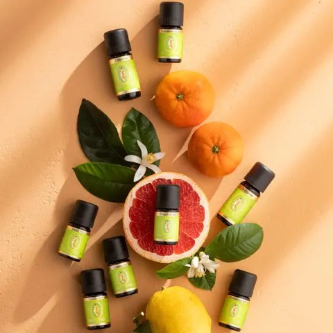 Grapefruit Bio (Citrus paradisi) – Frische Energie für Motivation und Leichtigkeit