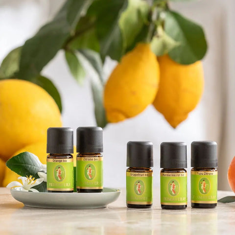Orange Bio (Citrus sinensis) – Sonnige Leichtigkeit für Herz und Lebensfreude